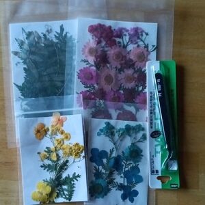Dried Flower Art Set with Tweezers